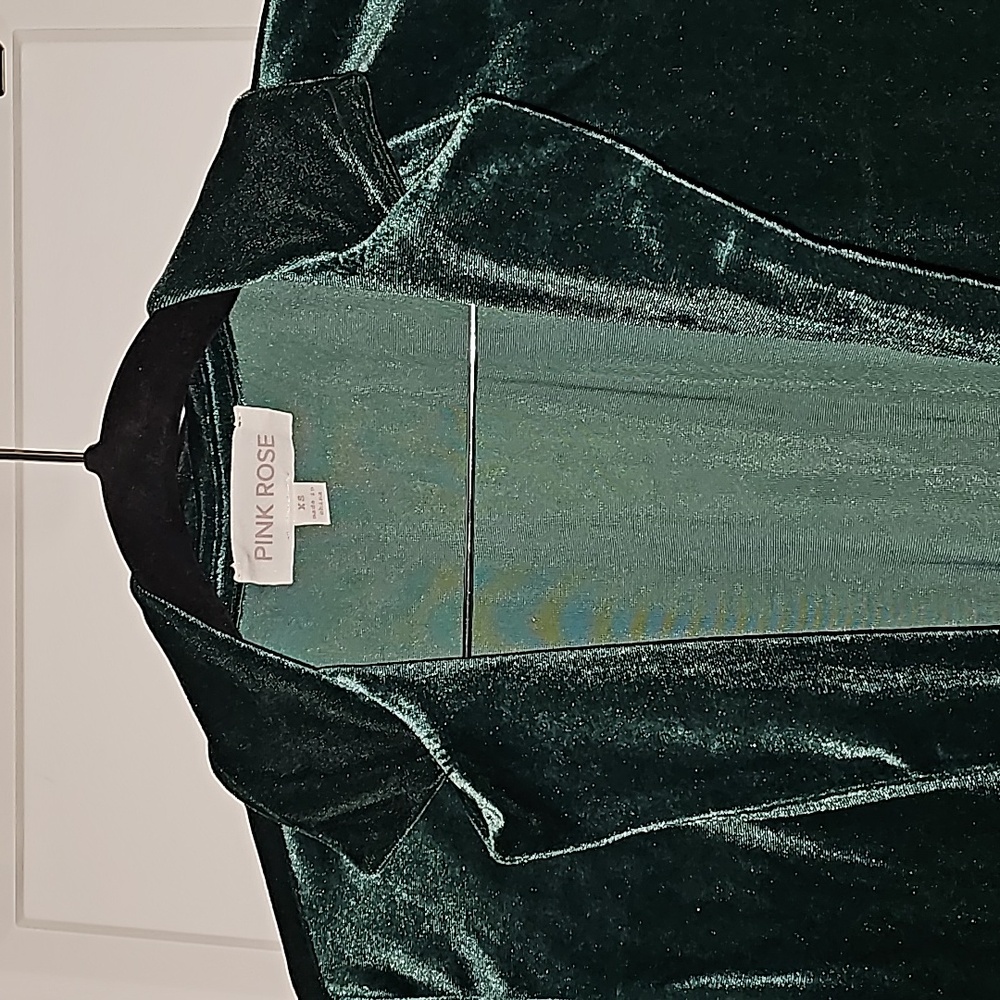 Pink Rose x Dry Goods Evergreen Velour Long Sleeves Cardigan Jacket XS NWT - Picture 13 of 16
